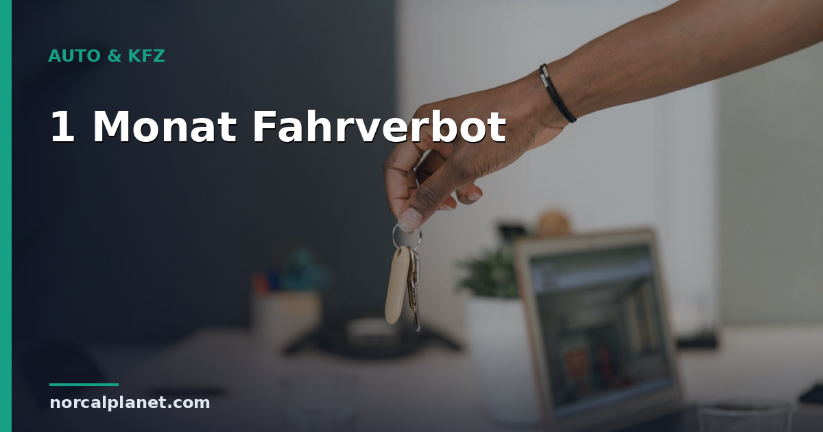 1 Monat Fahrverbot: Regeln, Antritt und Tipps 2026