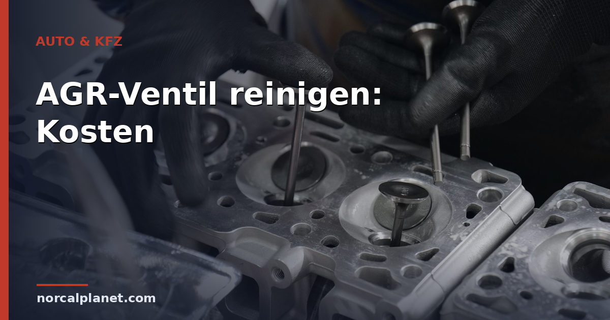 AGR-Ventil reinigen: Kosten und Symptome 2026
