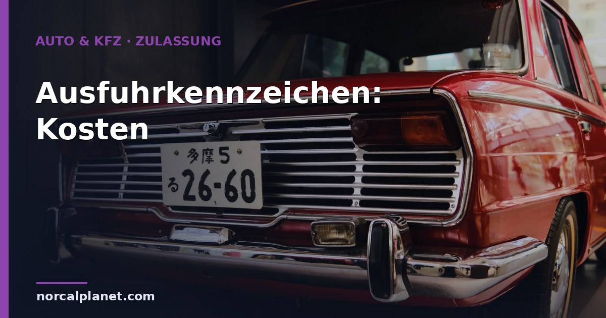Ausfuhrkennzeichen: Kosten & Ablauf 2026