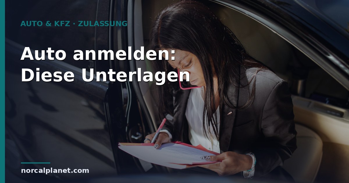 auto anmelden unterlagen