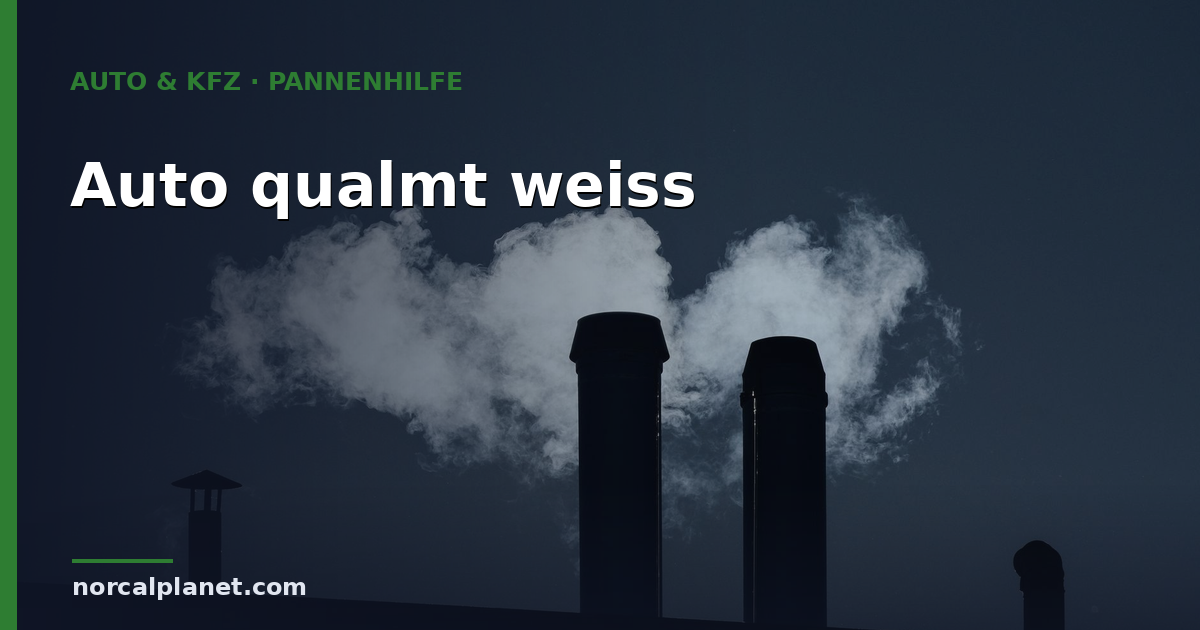 Auto qualmt weiß: Was der weiße Rauch bedeutet