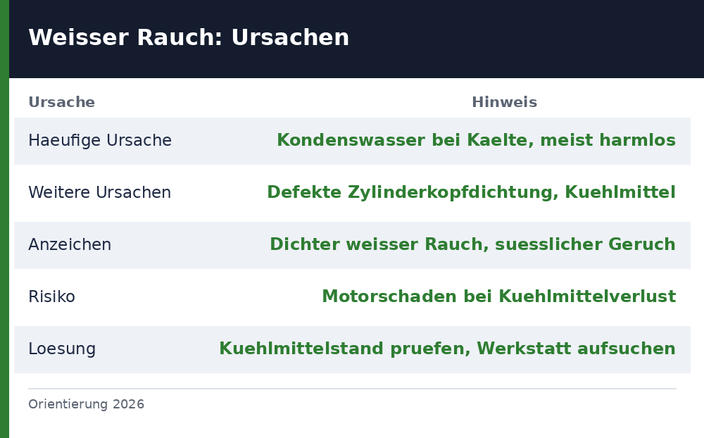 auto qualmt weiß – Übersicht Richtwerte 2026