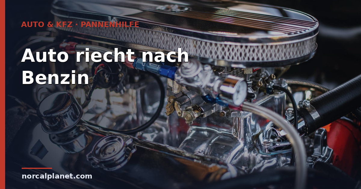 Auto riecht nach Benzin: Ursachen und was zu tun ist