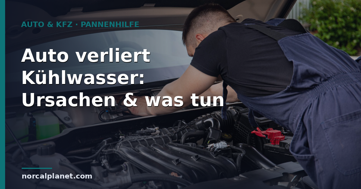 Auto verliert Kühlwasser: Ursachen & was tun