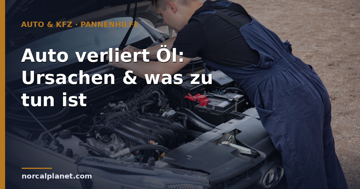 Auto verliert Öl: Ursachen & was zu tun ist