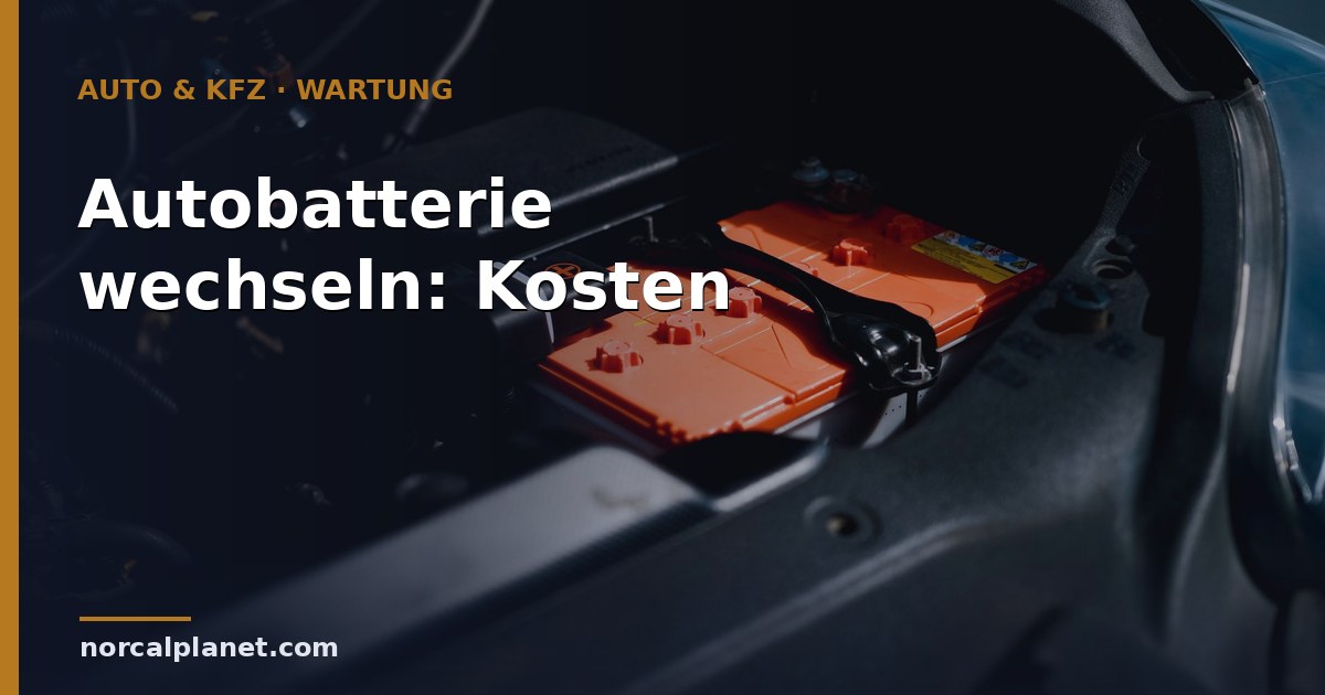 autobatterie wechseln Kosten