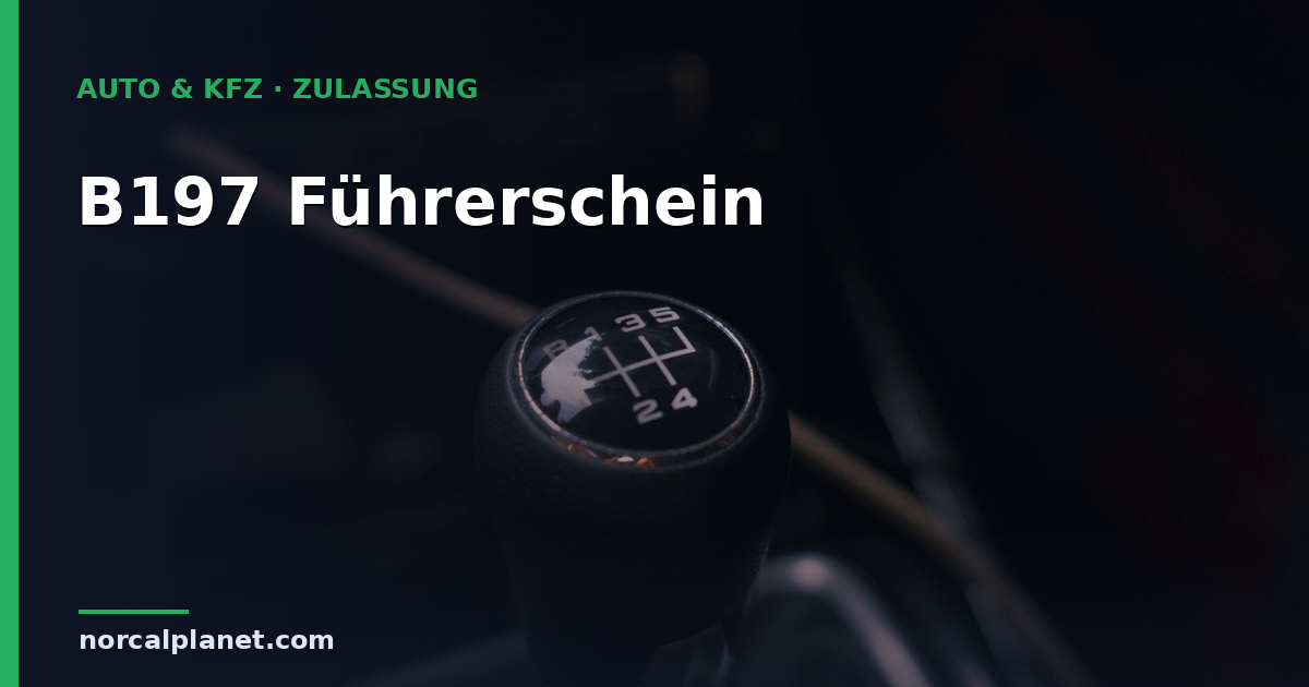 B197 Führerschein: Automatik-Regelung einfach erklärt