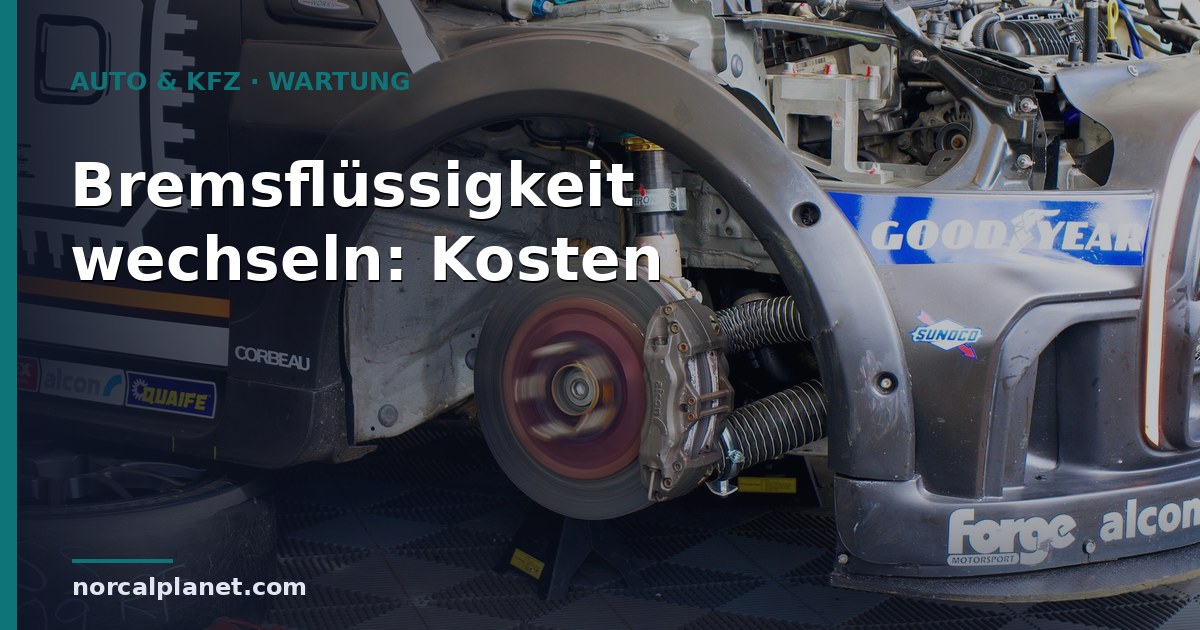 bremsfluessigkeit wechseln Kosten