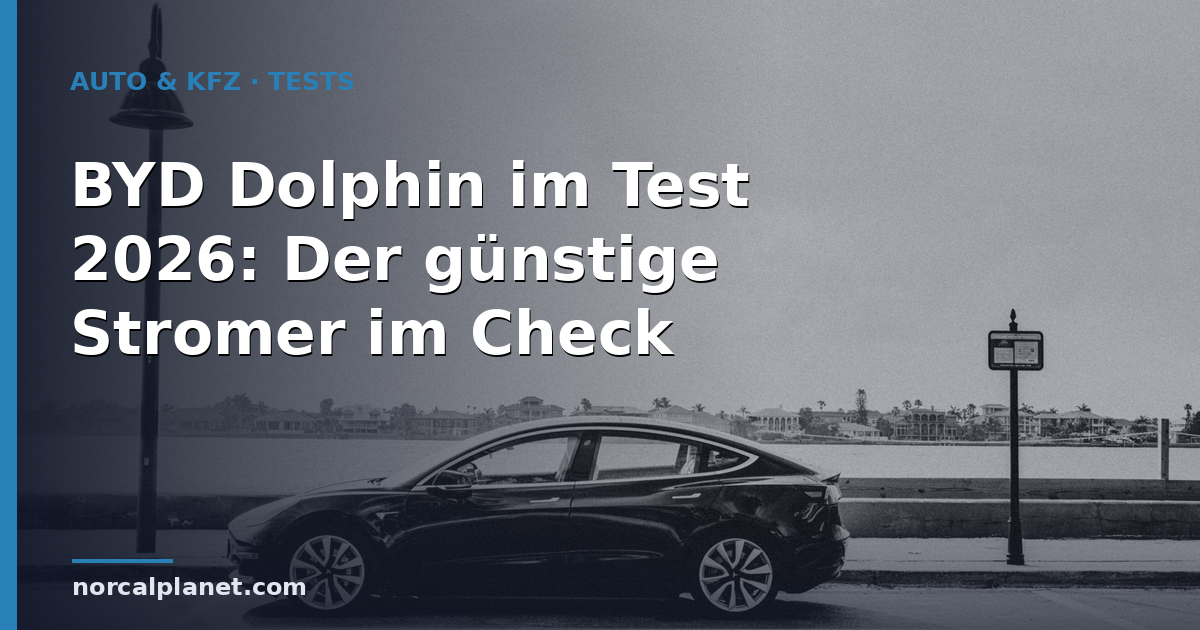 BYD Dolphin im Test 2026: Der günstige Stromer im Check