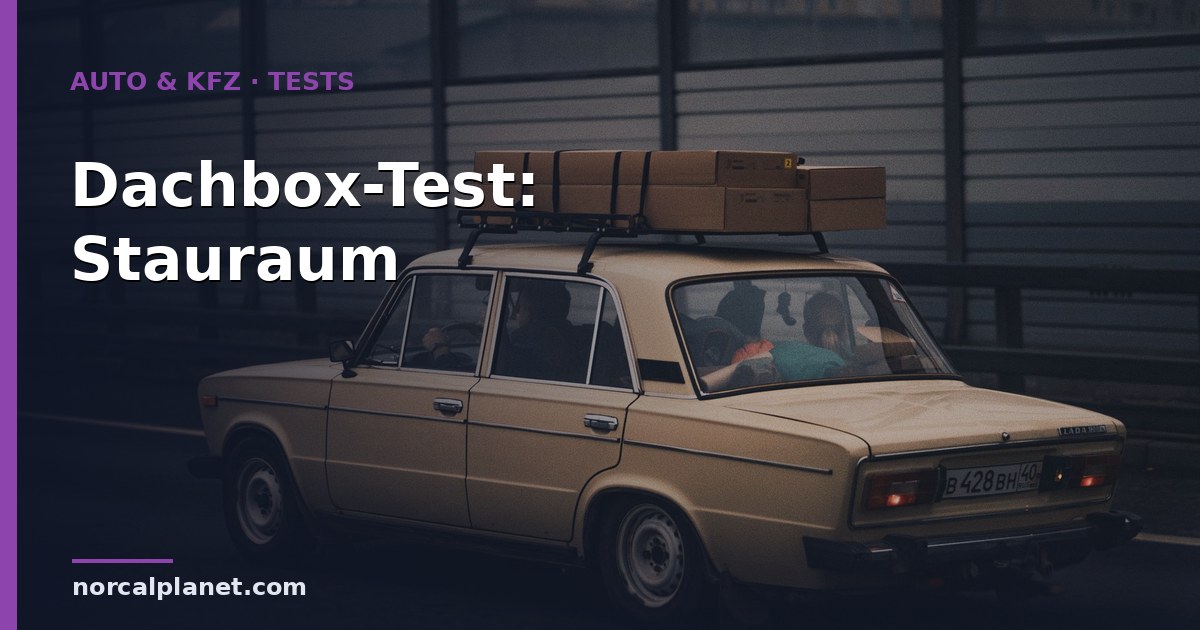 dachbox test