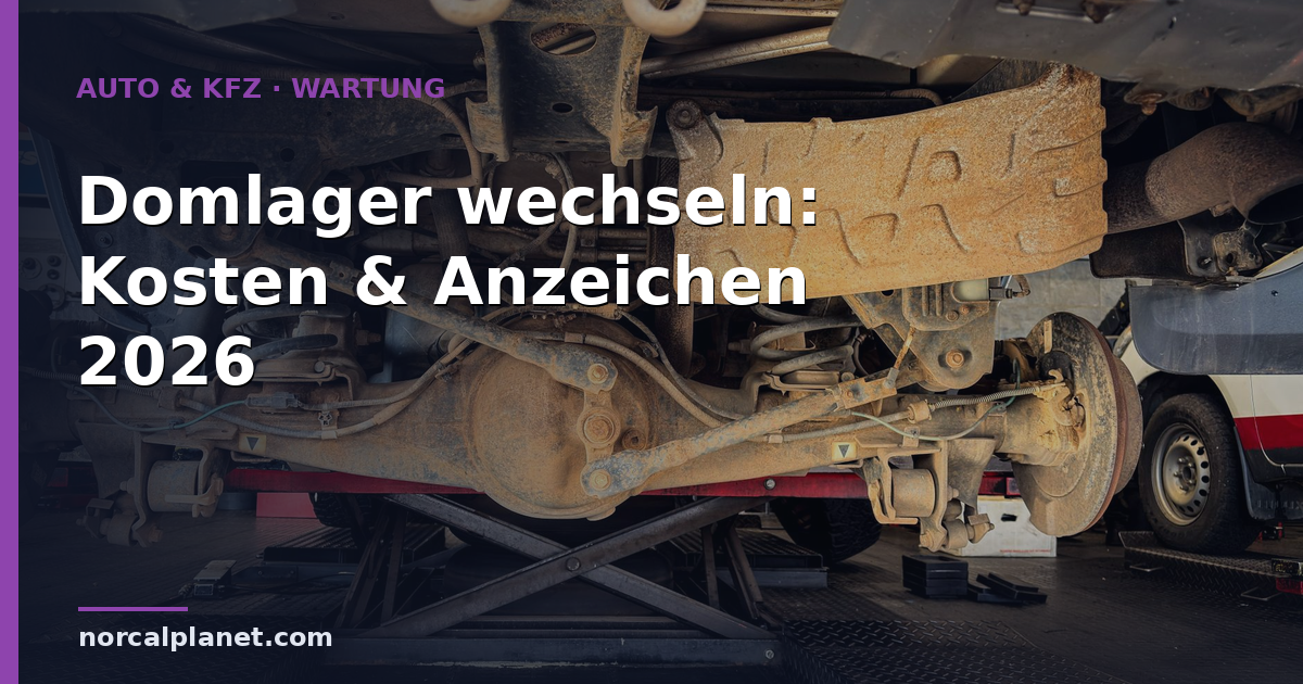 Domlager wechseln: Kosten & Anzeichen 2026