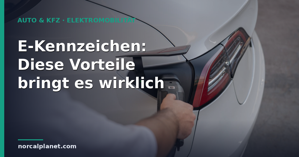 E-Kennzeichen: Diese Vorteile bringt es wirklich