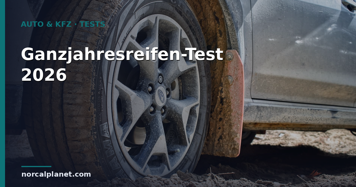 Ganzjahresreifen-Test 2026: Für wen sie taugen