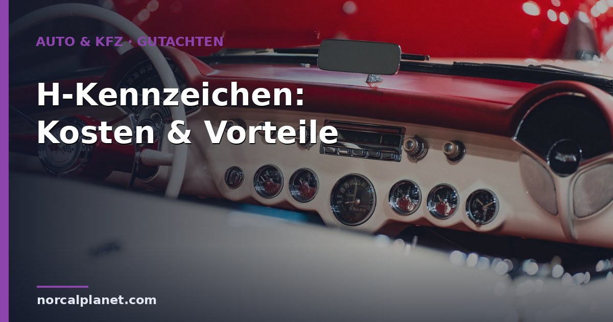 h kennzeichen Kosten
