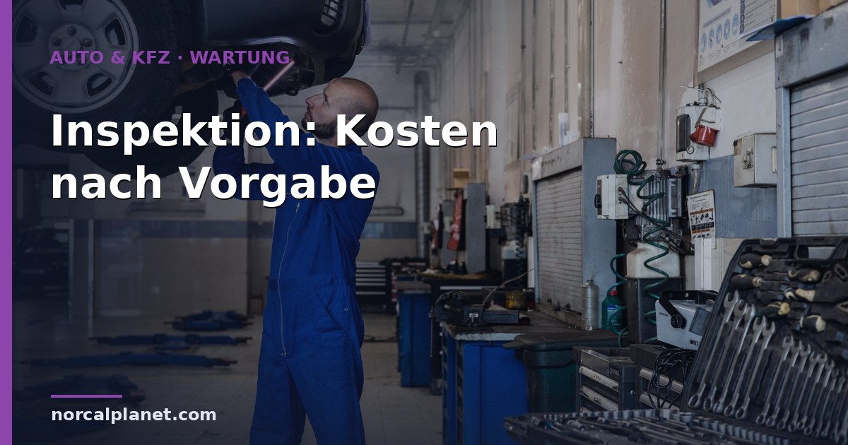 inspektion auto Kosten