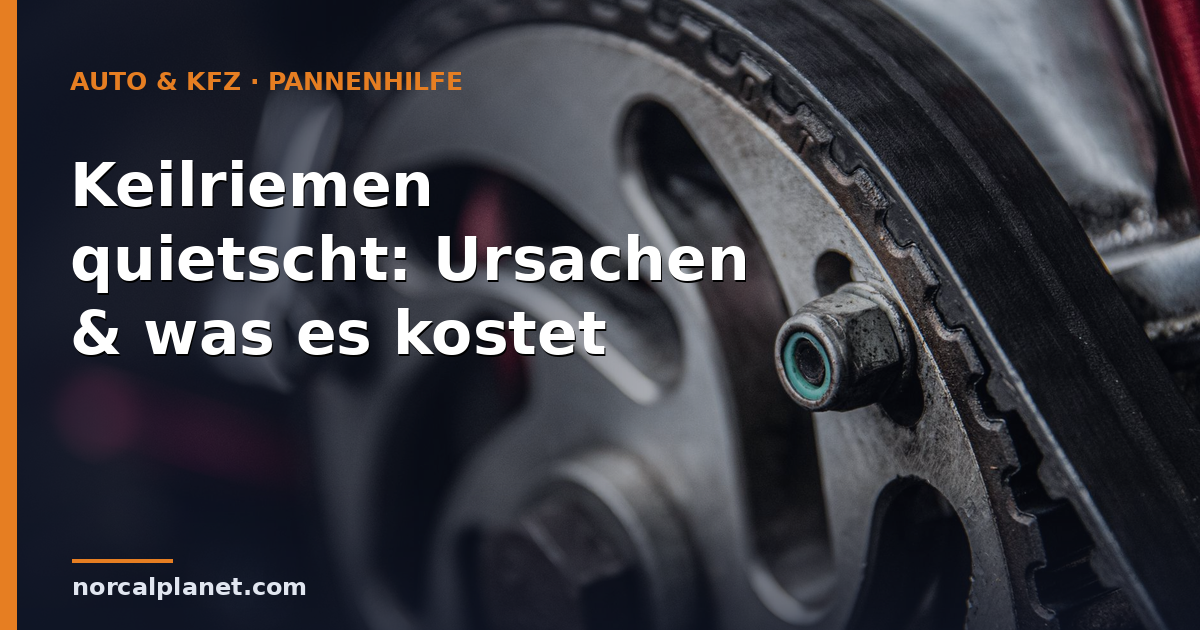 Keilriemen quietscht: Ursachen & was es kostet