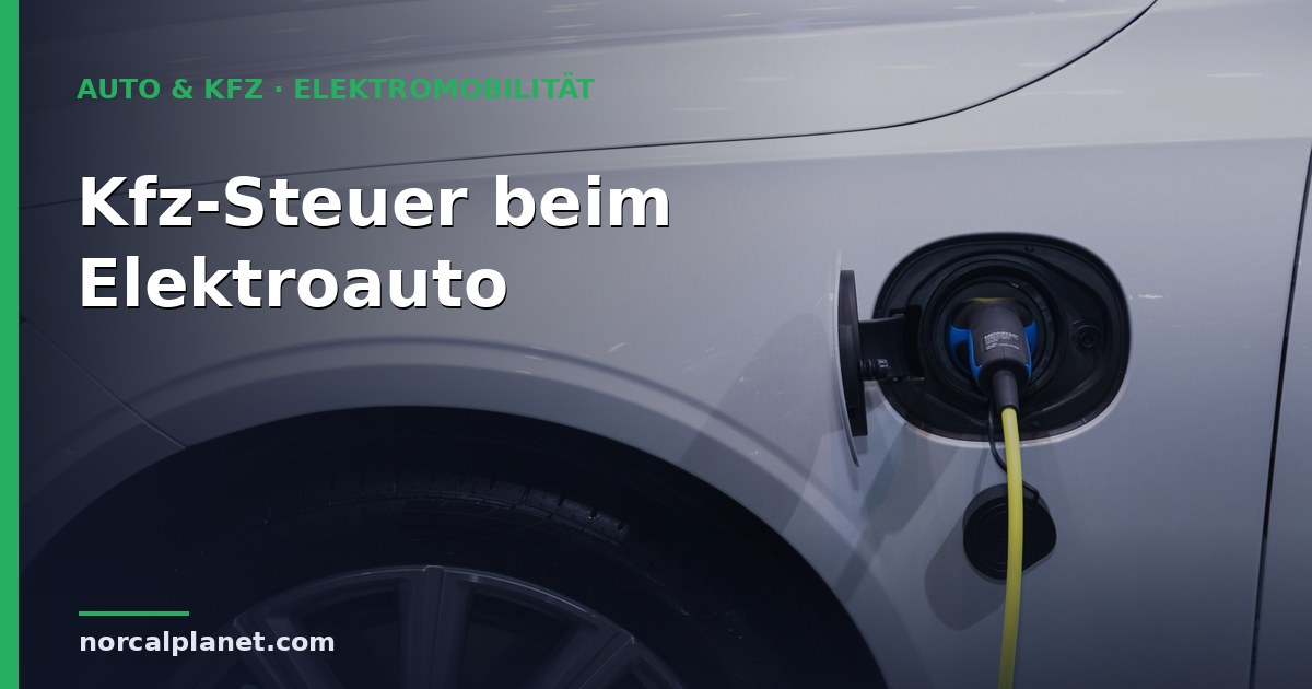 kfz steuer elektroauto