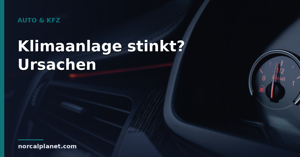 Klimaanlage im Auto stinkt? Ursachen und Lösungen
