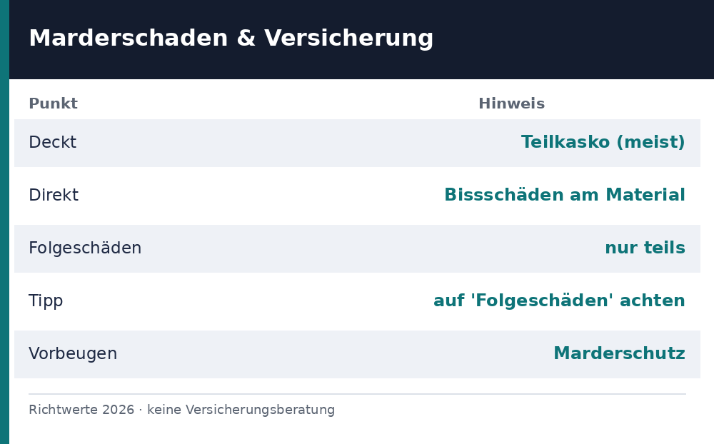 marderschaden versicherung - Uebersicht Richtwerte 2026