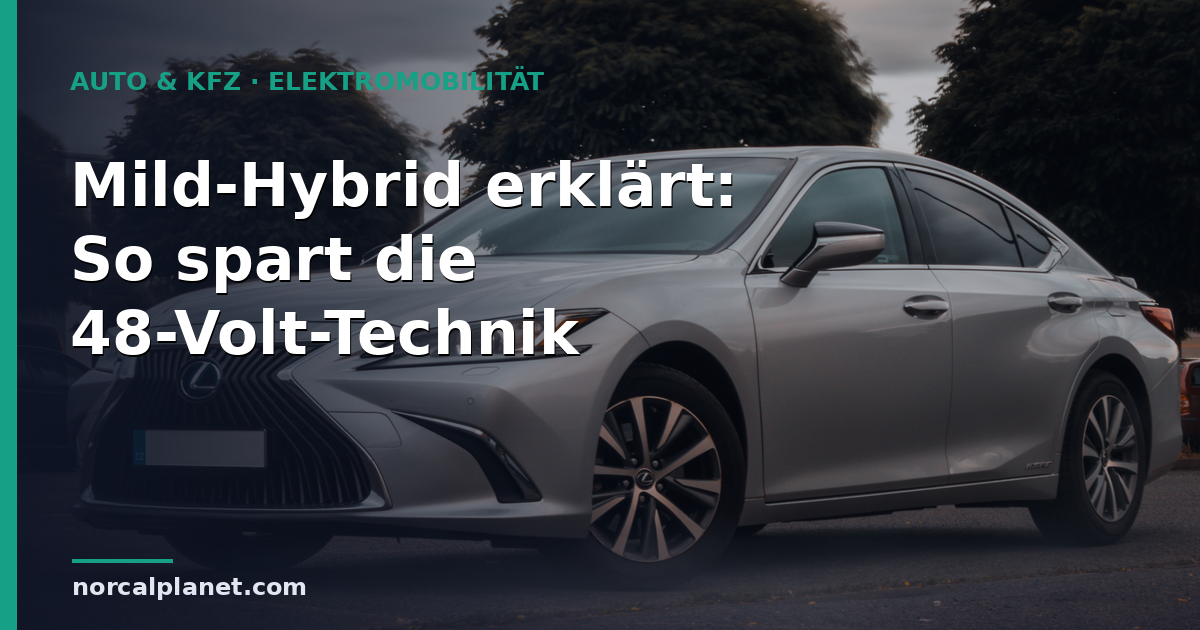 Mild-Hybrid erklärt: So spart die 48-Volt-Technik