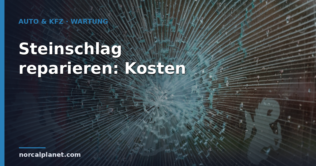 Steinschlag mit sternförmigem Riss in einer Autoscheibe