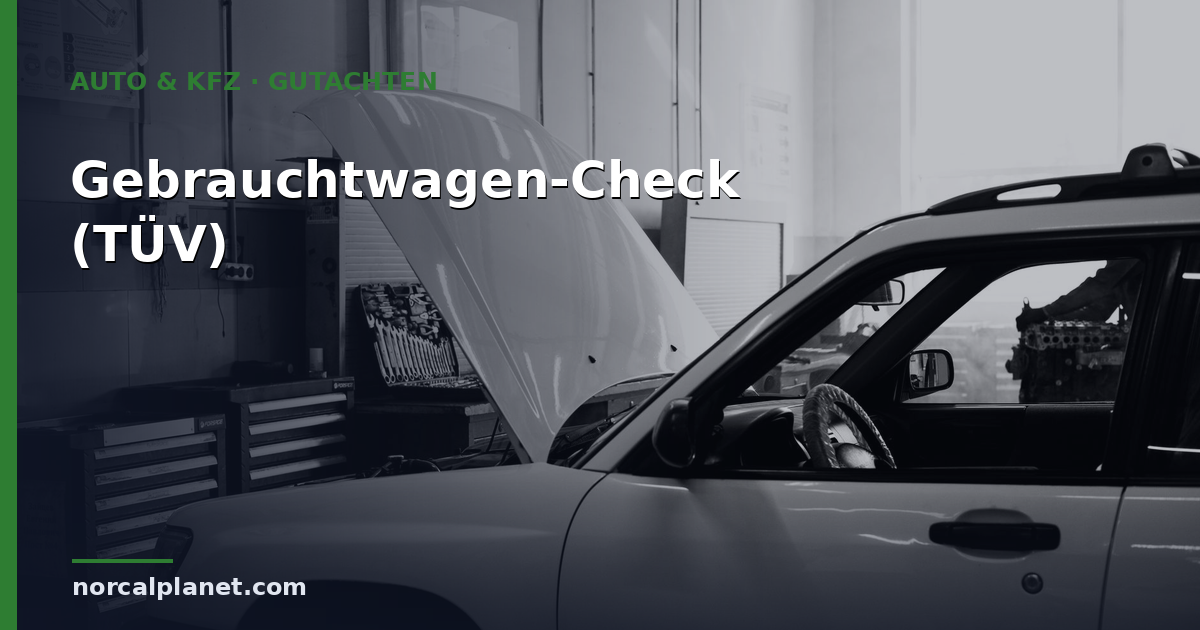 Gebrauchtwagen-Check beim TÜV: Kosten & Ablauf