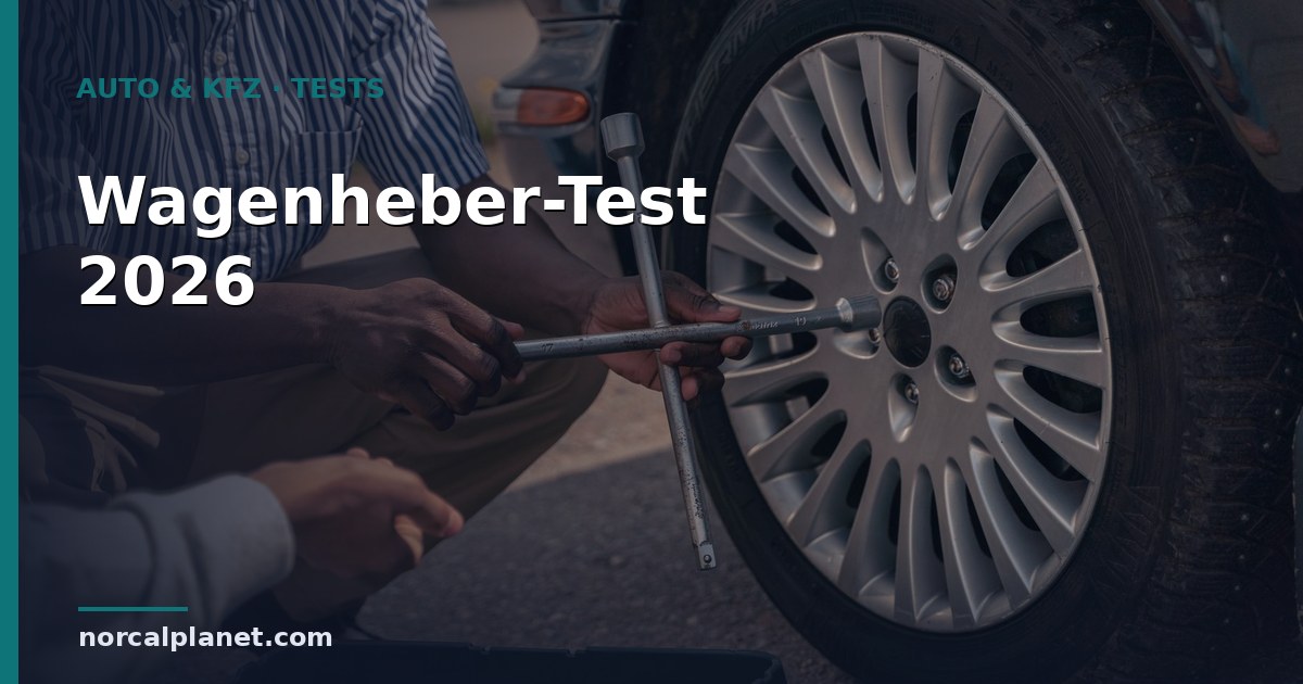 wagenheber test