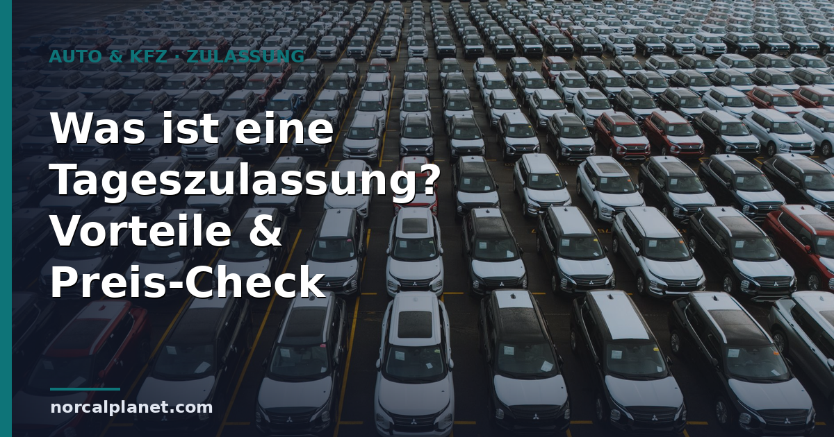 Was ist eine Tageszulassung? Vorteile & Preis-Check