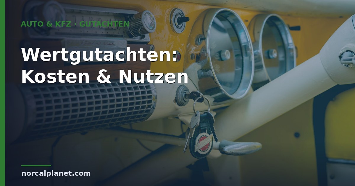 wertgutachten auto Kosten