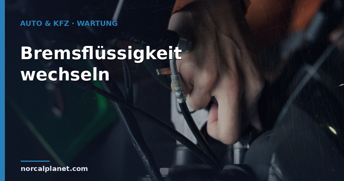 Wie oft Bremsflüssigkeit wechseln? Intervall & Kosten 2026