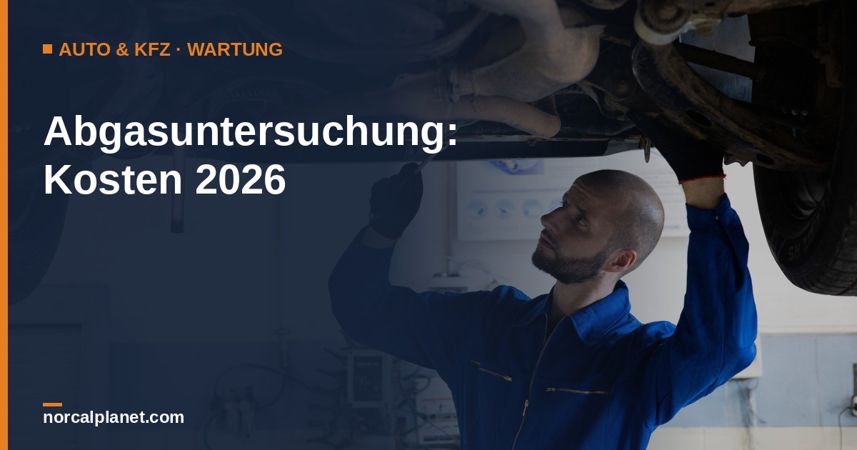 Abgasuntersuchung Kosten - Mechaniker prueft Abgasanlage