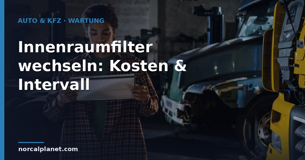 Person hält einen Innenraumfilter fürs Auto in der Werkstatt