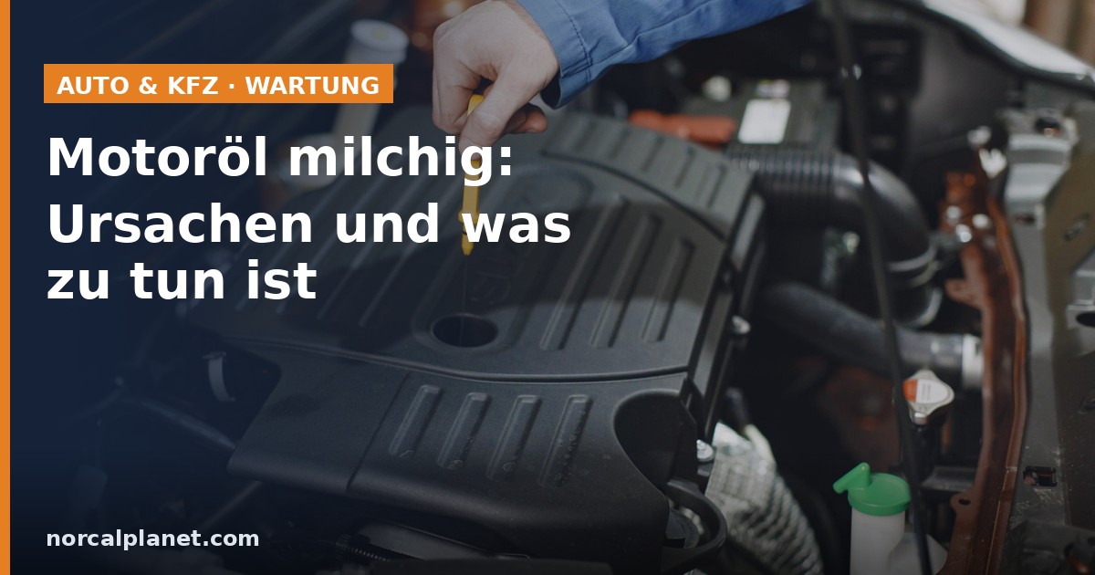 Motoröl milchig: Ölmessstab wird kontrolliert