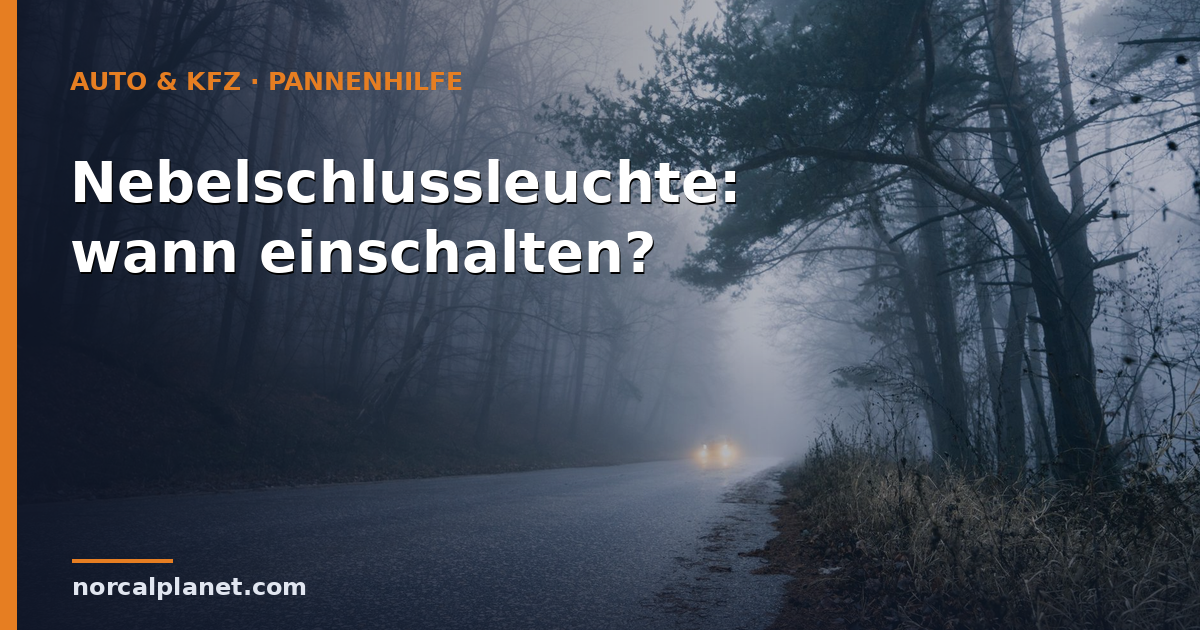 Neblige Landstraße – wann die Nebelschlussleuchte einschalten