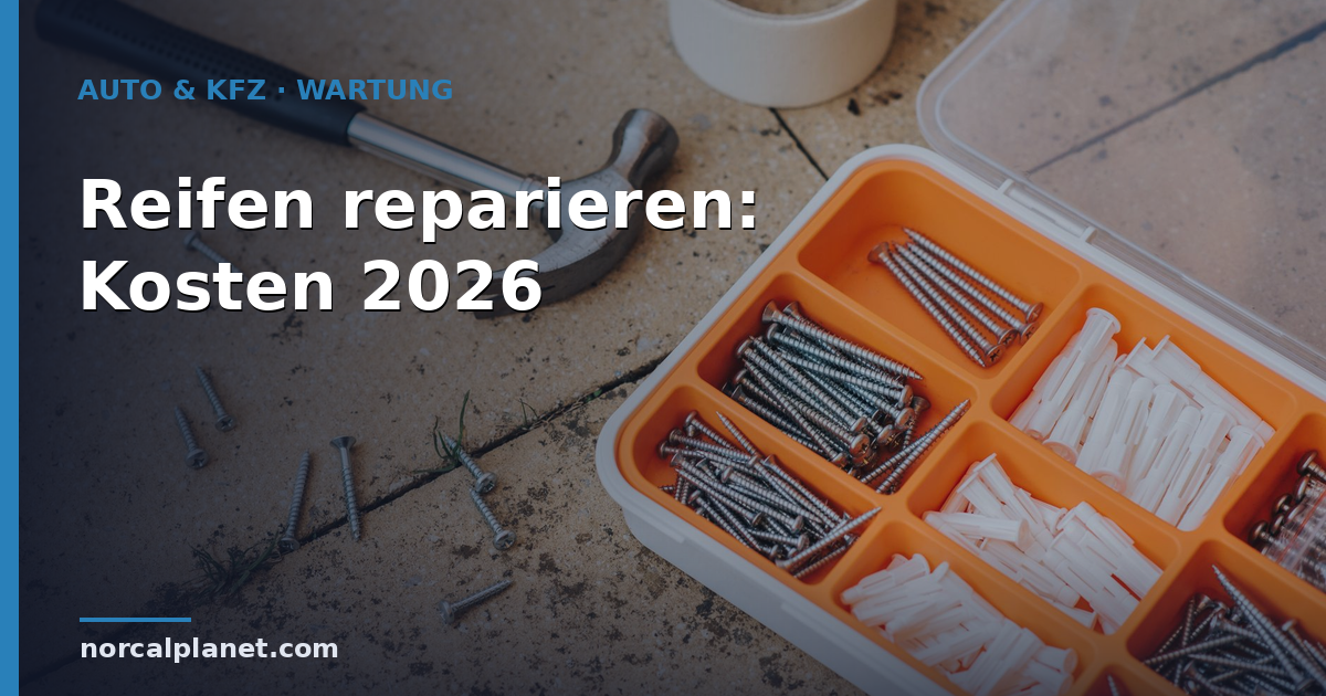 Reparaturset mit Nagel und Werkzeug – Reifen reparieren Kosten 2026