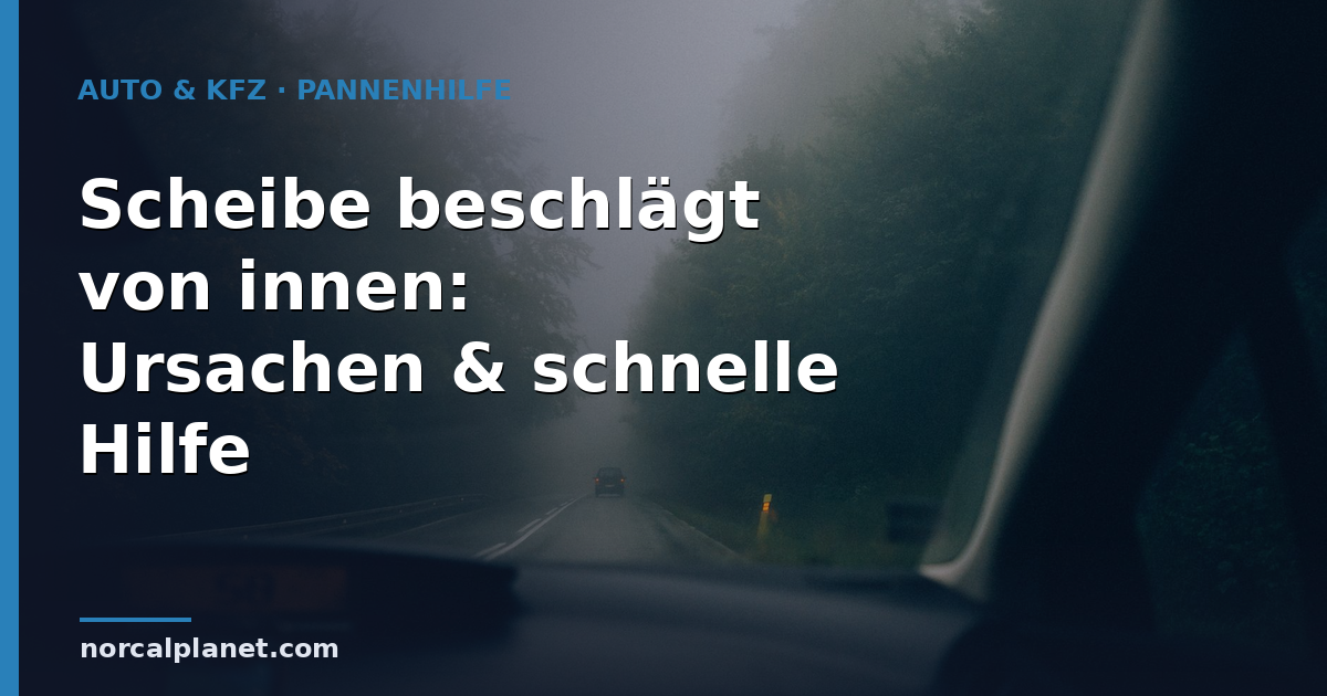Blick durch eine beschlagene, trübe Frontscheibe von innen