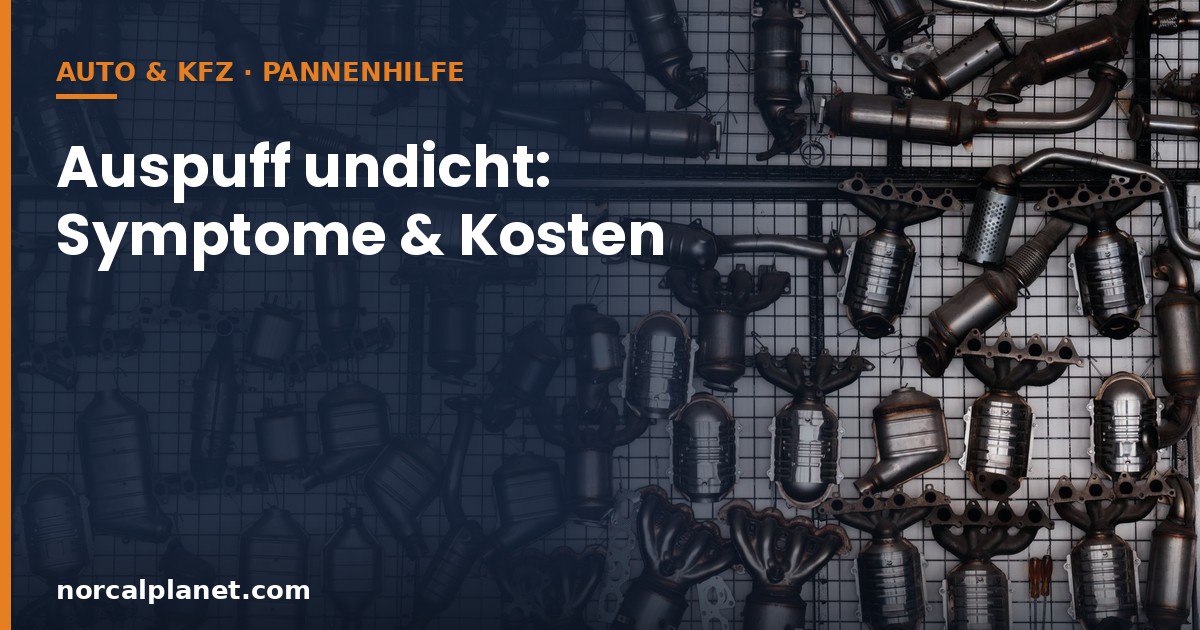 Auspuff undicht - Abgasanlagenteile im Detail