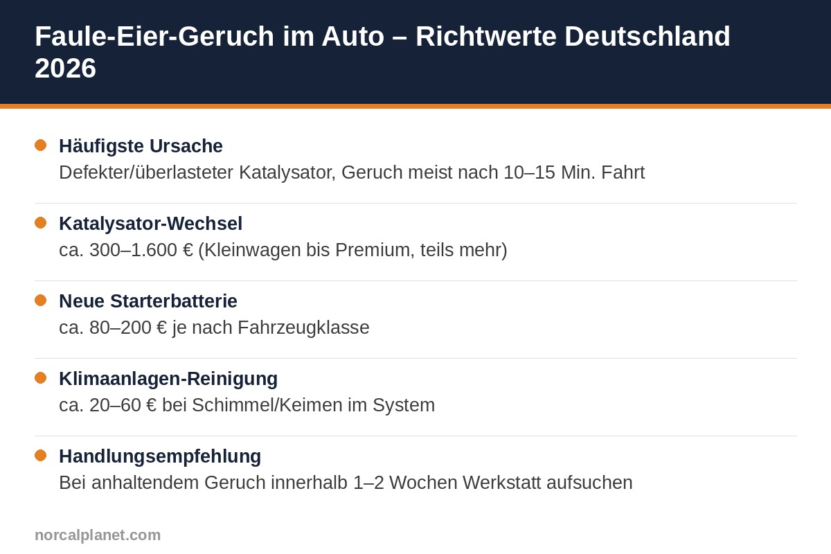 Faktenkarte: Faule-Eier-Geruch im Auto - Richtwerte Deutschland 2026