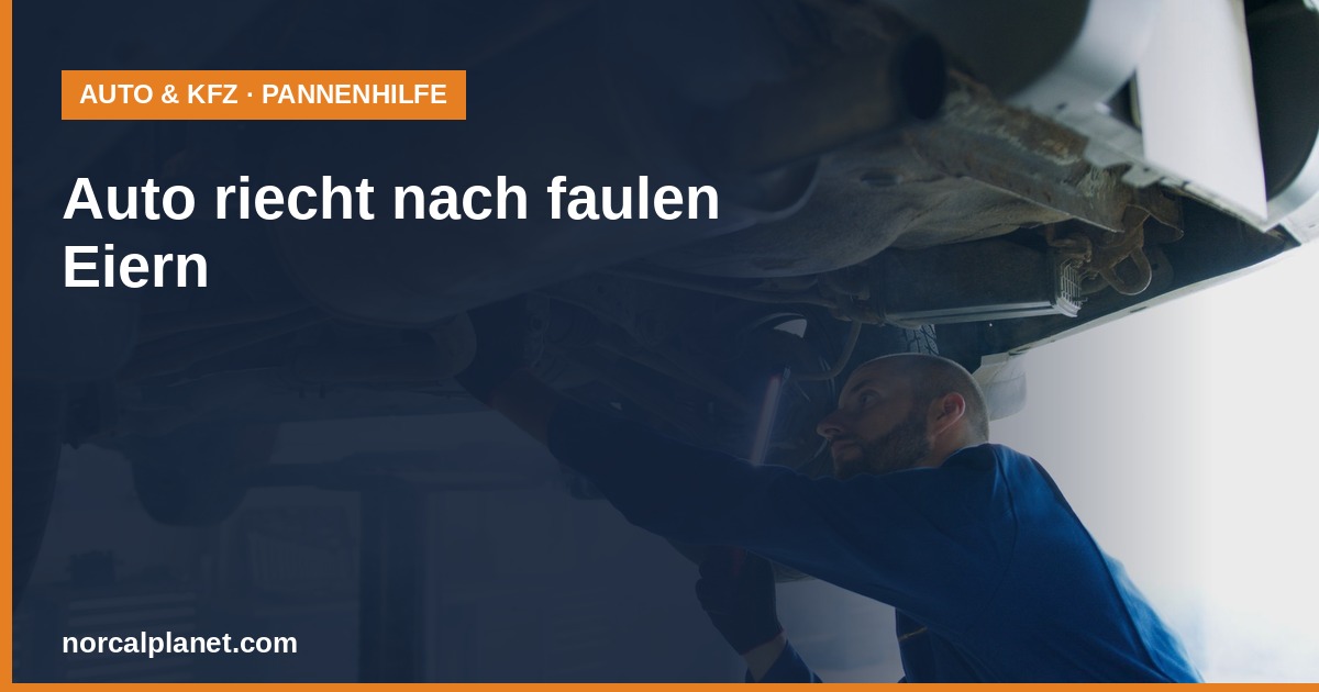 Mechaniker prueft die Abgasanlage und den Katalysator eines angehobenen Fahrzeugs