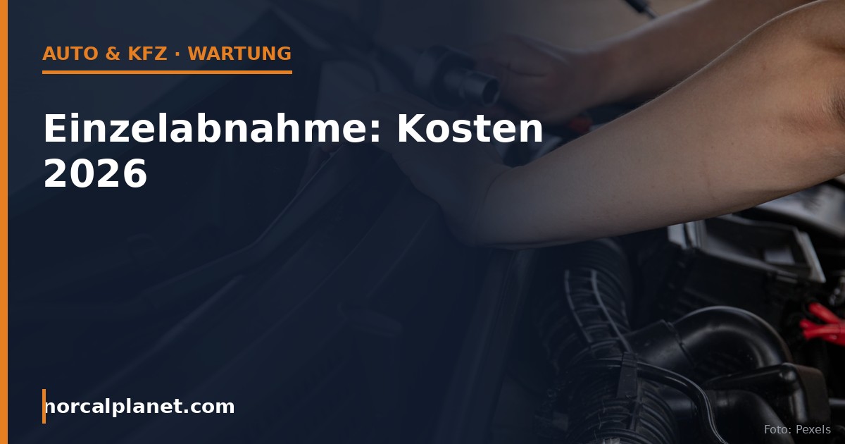 Einzelabnahme Kosten 2026