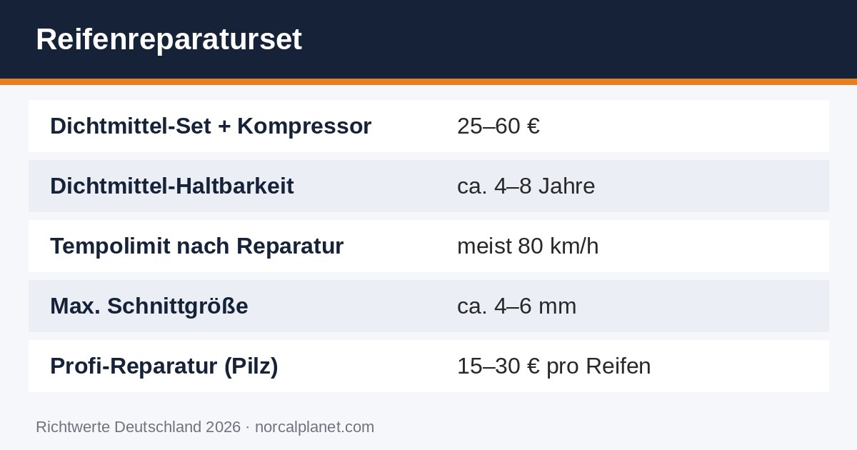 Faktenkarte: Reifenreparaturset im Test: Wann es hilft und was es kostet