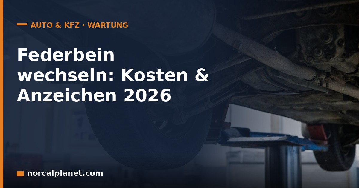 Federbein wechseln: Kosten und Anzeichen 2026 - norcalplanet.com