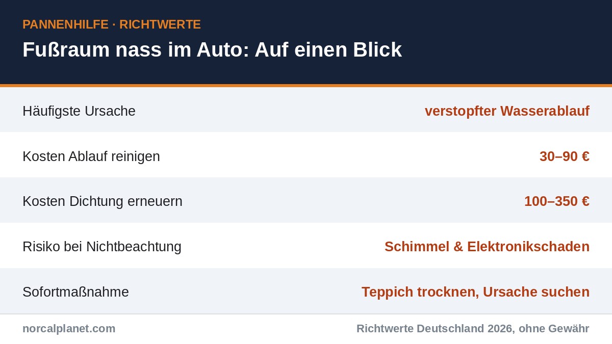 Fußraum nass im Auto: Ursachen und was zu tun ist – Richtwerte 2026
