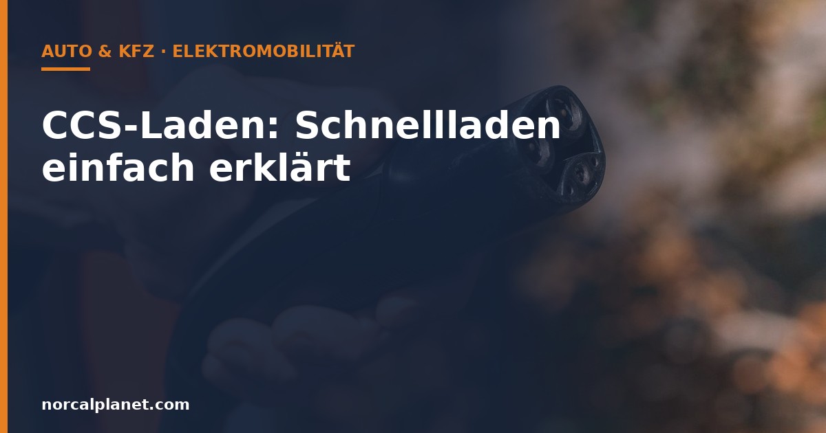 Nahaufnahme eines Ladesteckers fuer Elektroautos in der Hand