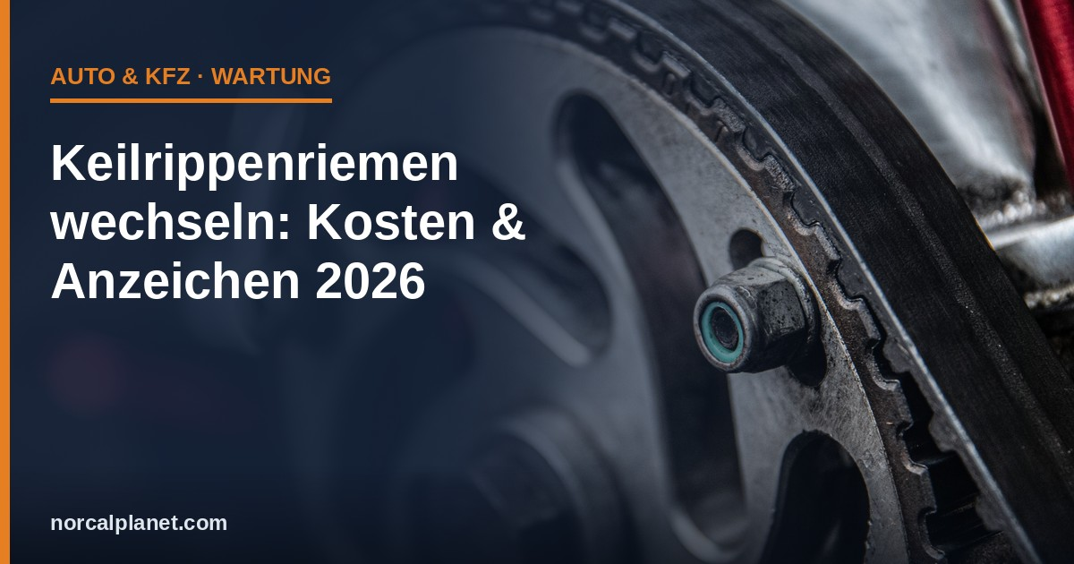 Keilrippenriemen wechseln: Kosten & Anzeichen 2026