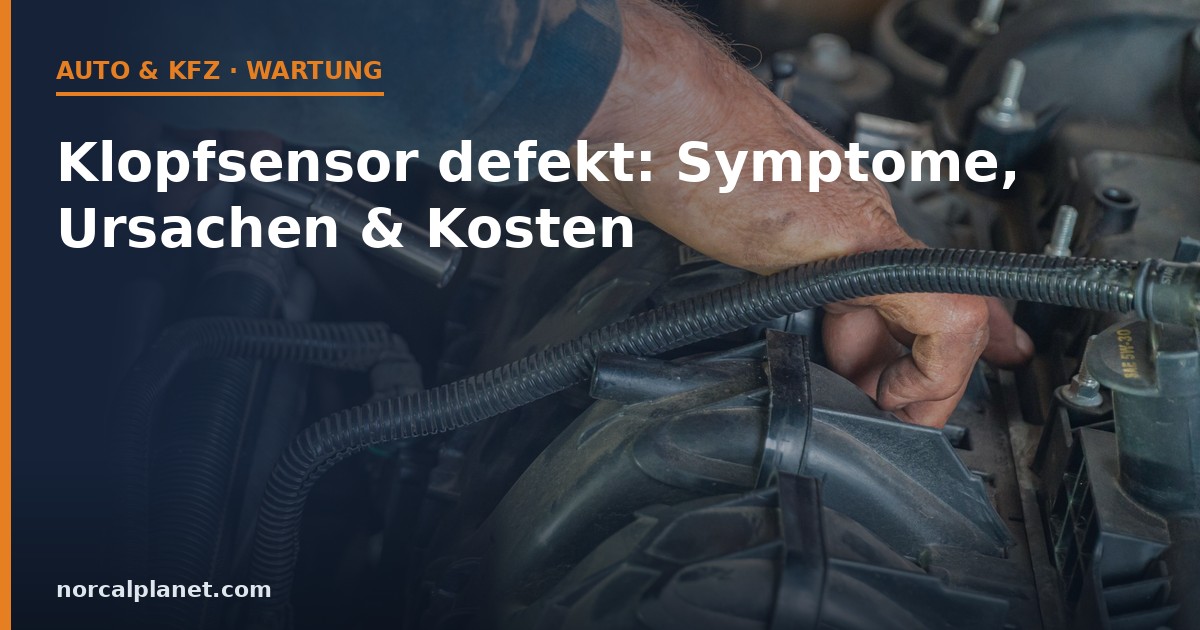 Mechaniker prüft Kabel und Klopfsensor im Motorraum