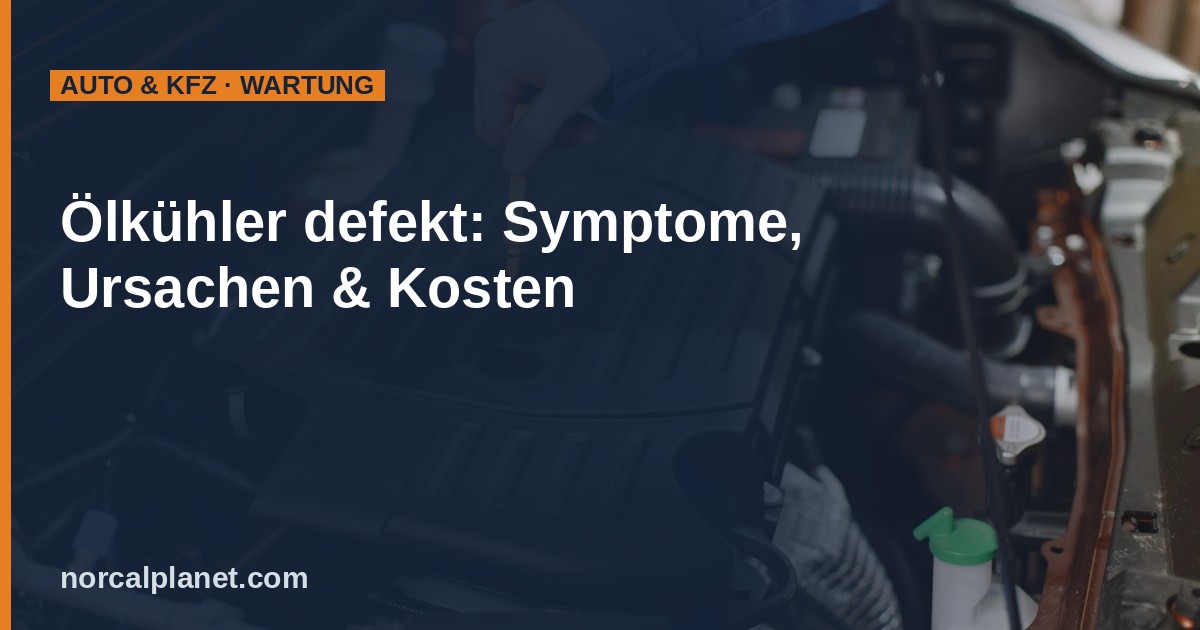 Mechaniker prüft Motoröl mit Ölmessstab im Motorraum