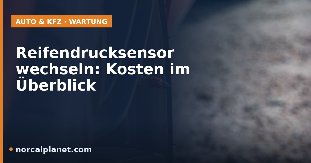 Reifendrucksensor am Ventil einer Felge, Nahaufnahme