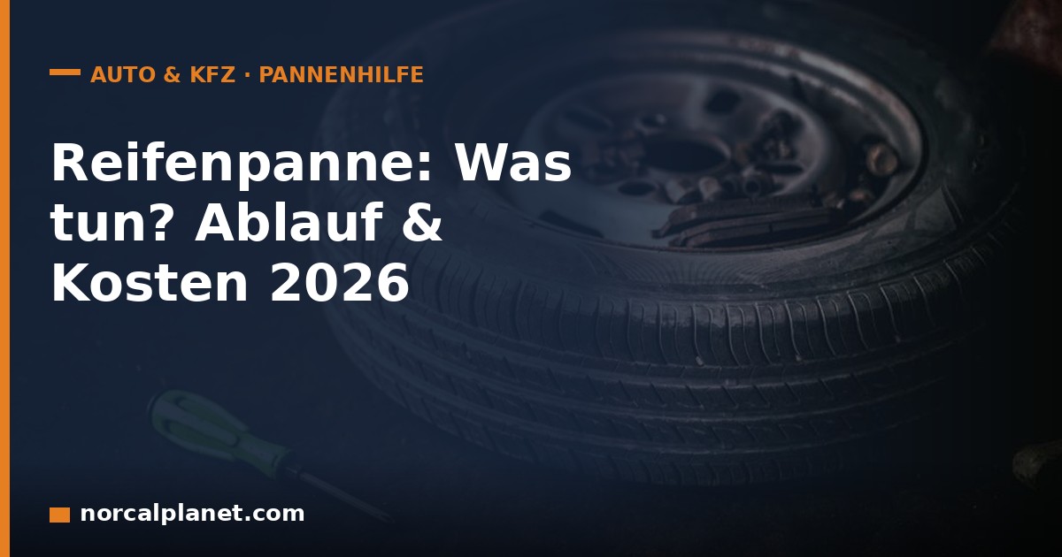 Reifenpanne: Was tun? Ablauf und Kosten 2026 - norcalplanet.com