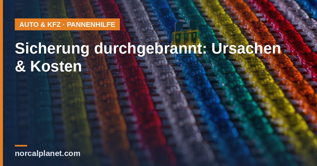 Bunte Kfz-Sicherungen in Reihen, Nahaufnahme
